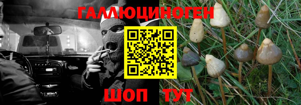Галлюциногенные грибы мухоморы Людиново