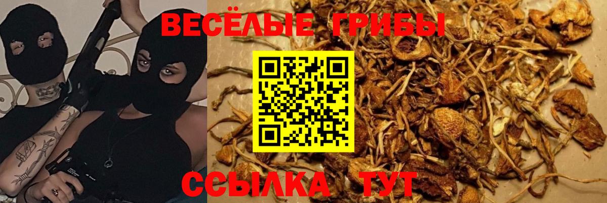 Людиново  Псилоцибиновые грибы ЛСД  Галлюциногенные грибы MAGIC MUSHROOMS  Вход с VPN 